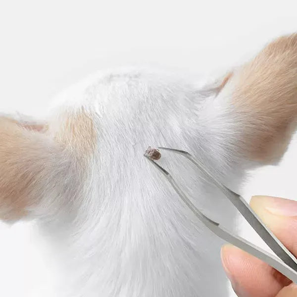 2-in-1 Flea & Tick Removal Tool