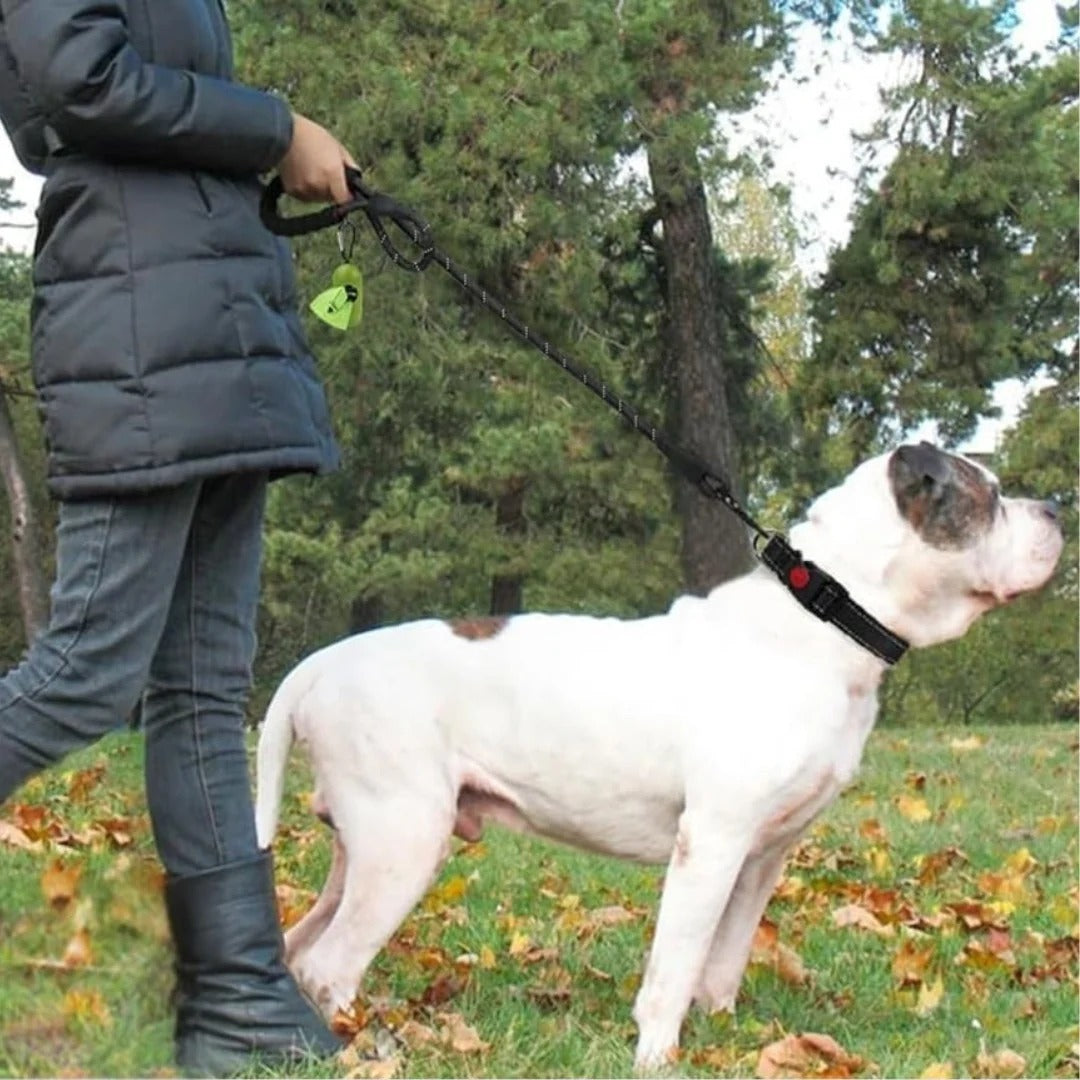 Reflective Dog Lead with Soft Grip Handle