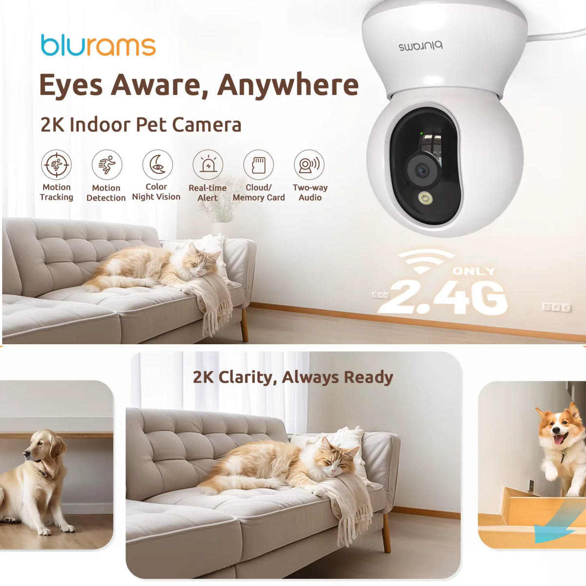 2K 360° Pet Camera with App Control