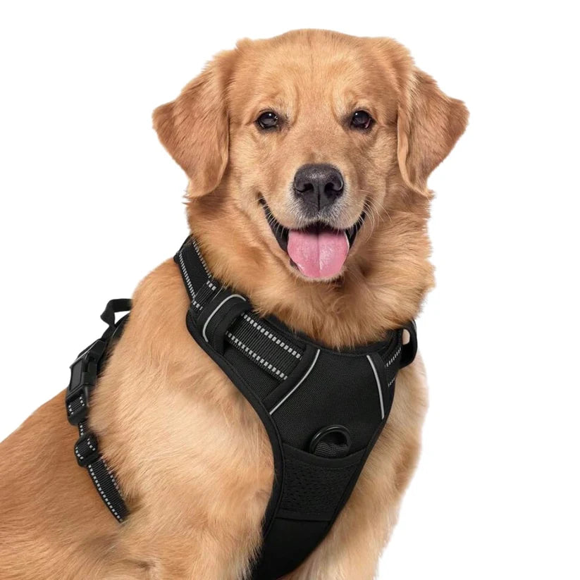 Anti-Pull Dog Harness