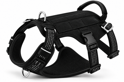 Signature Adventure Harness