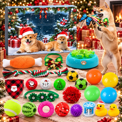 Christmas Advent Calendar for Pets