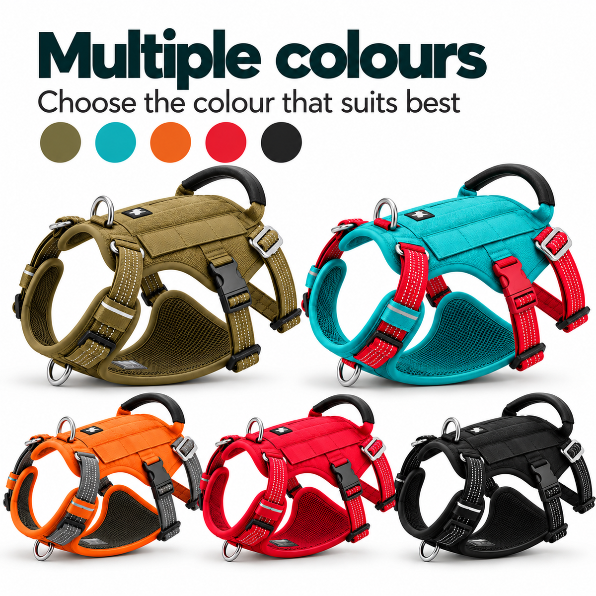 Signature Adventure Harness