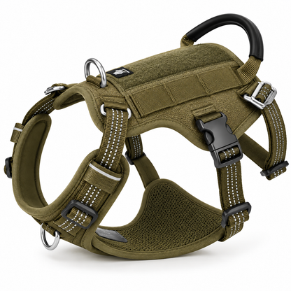 Signature Adventure Harness