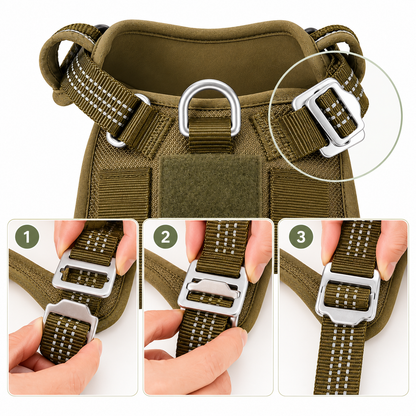 Signature Adventure Harness