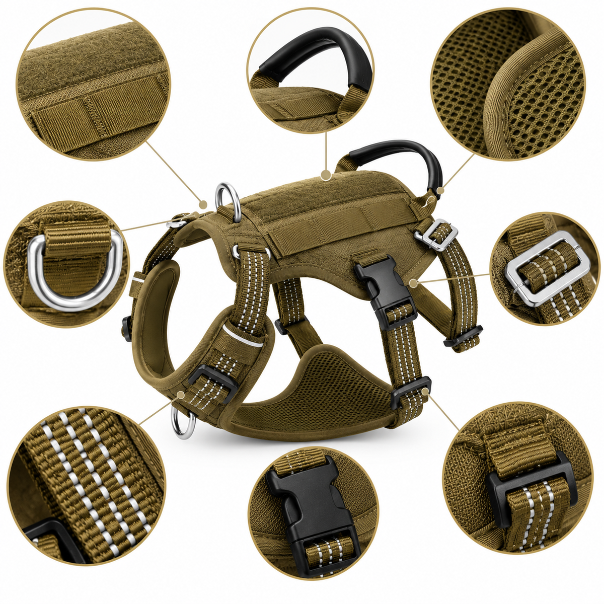 Signature Adventure Harness