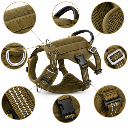 Signature Adventure Harness