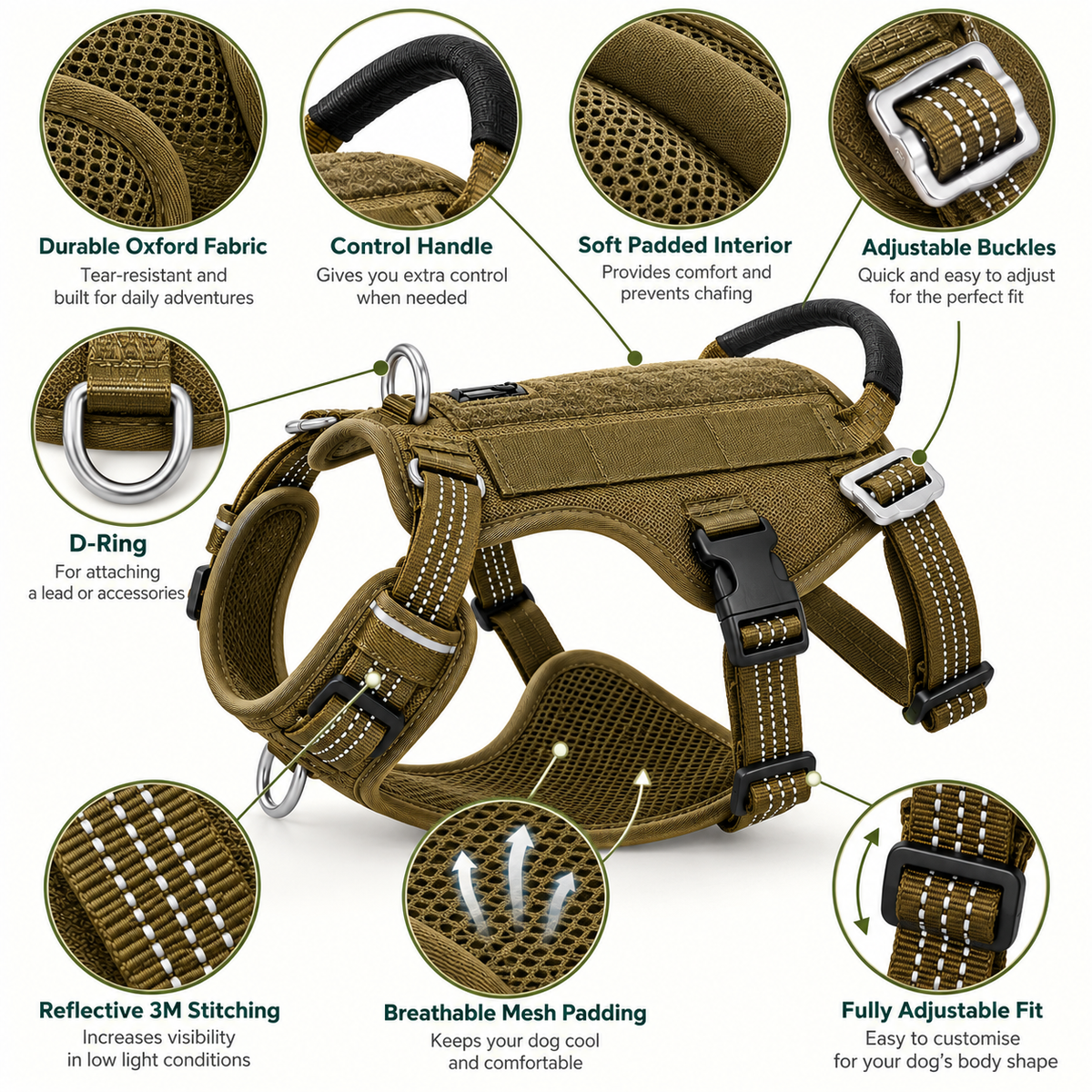 Signature Adventure Harness