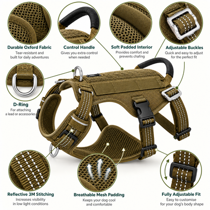 Signature Adventure Harness