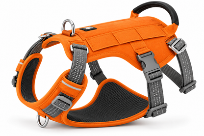 Signature Adventure Harness