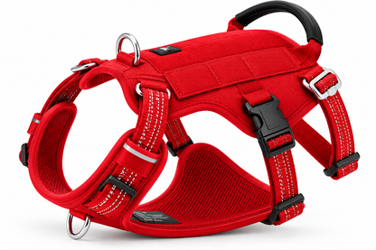 Signature Adventure Harness