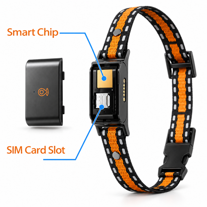 4G GPS Pet Tracker for Dogs & Cats