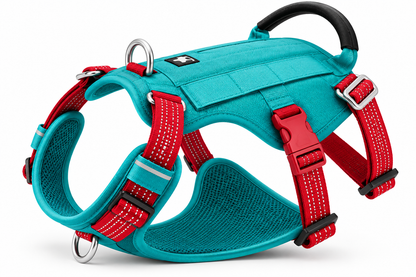Signature Adventure Harness