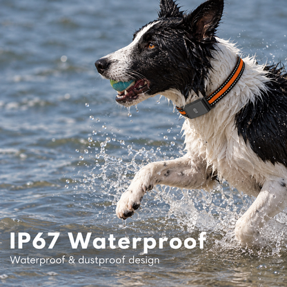4G GPS Pet Tracker for Dogs & Cats