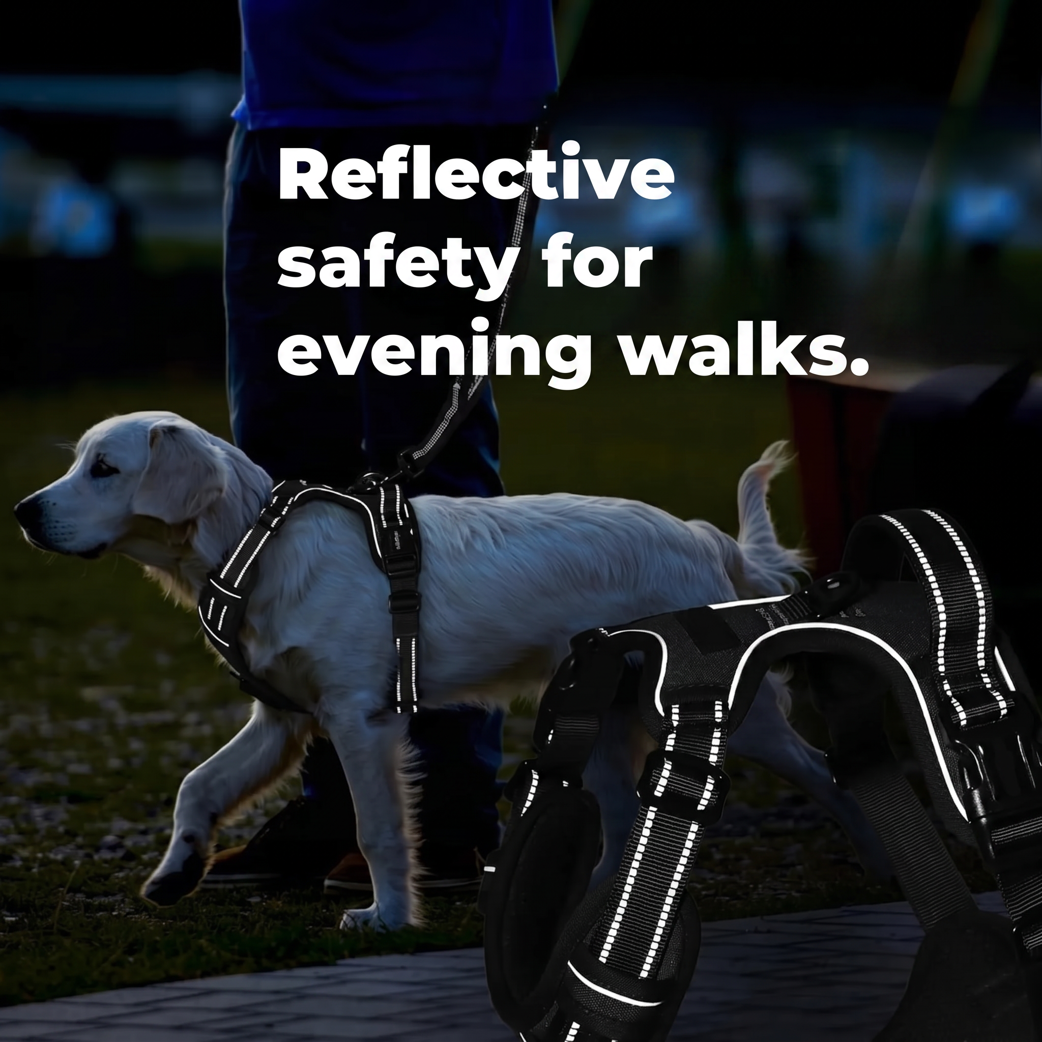 Anti-Pull Dog Harness