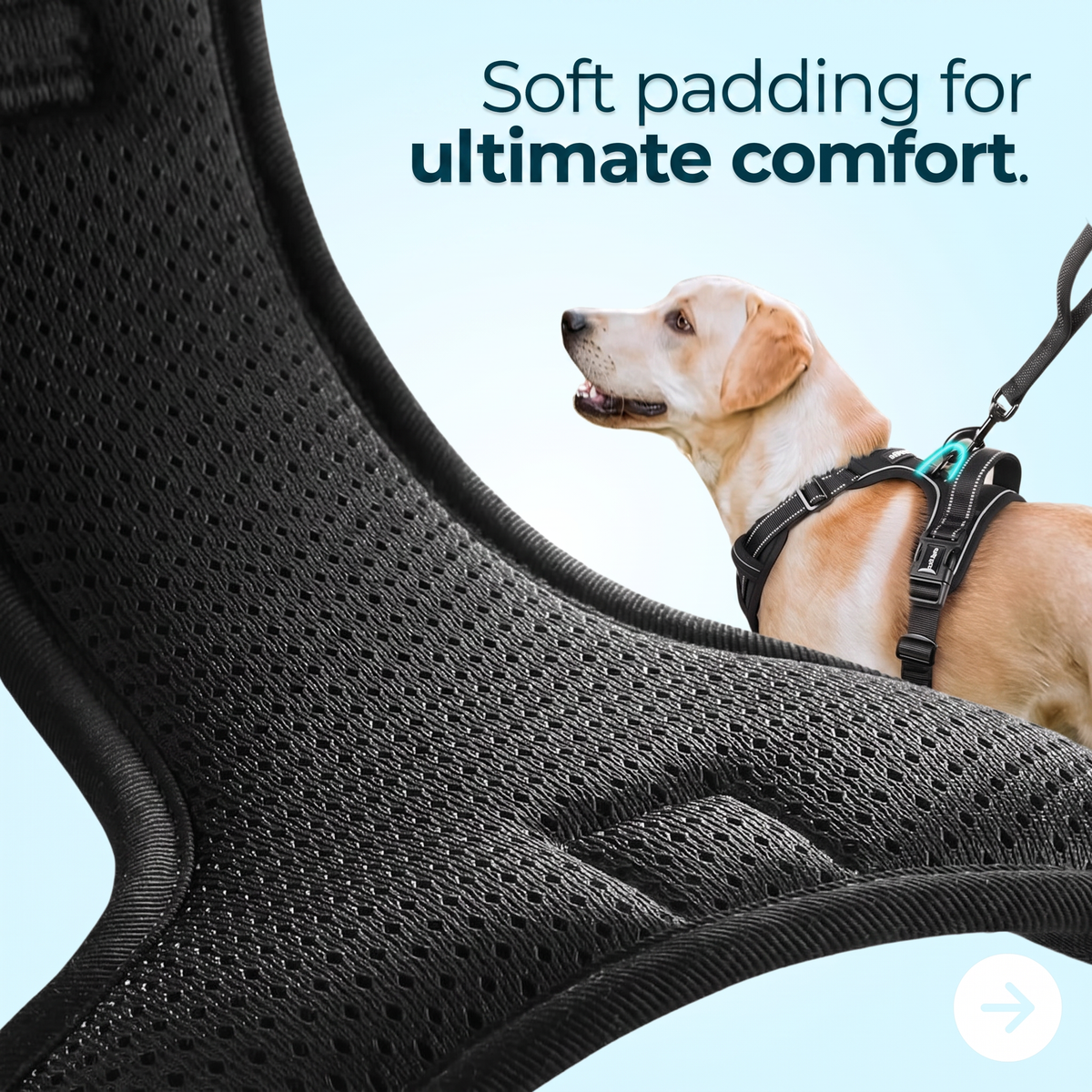 Anti-Pull Dog Harness