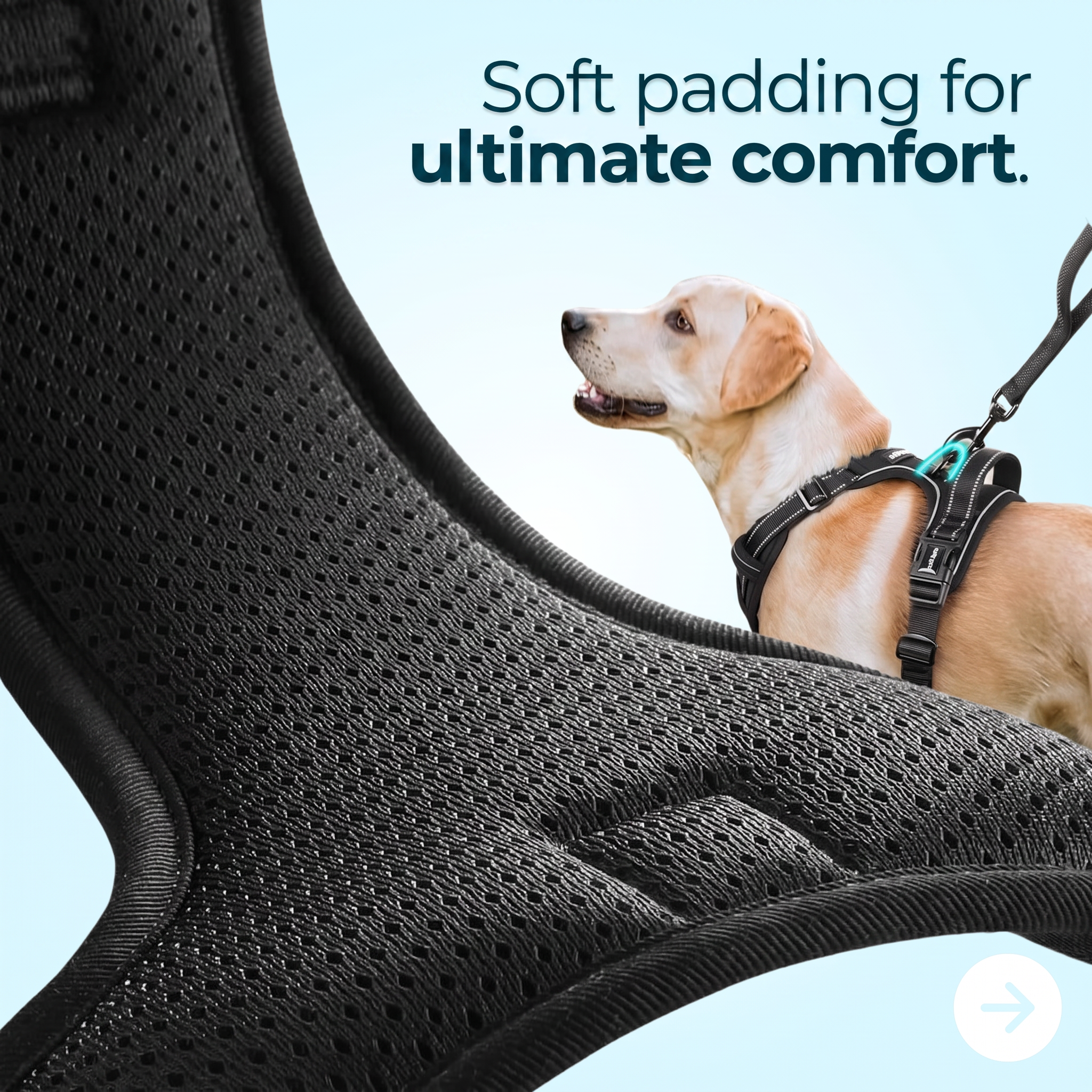 Anti-Pull Dog Harness