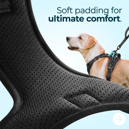 Anti-Pull Dog Harness