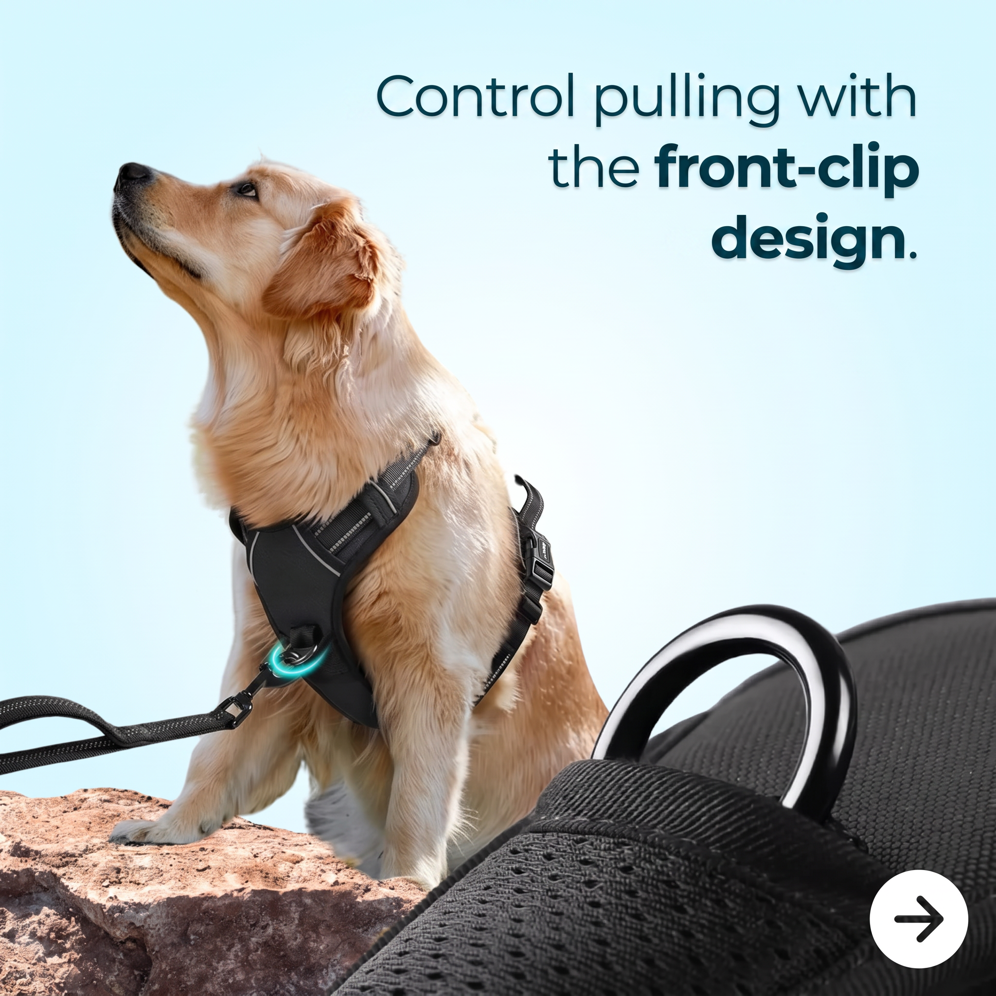 Anti-Pull Dog Harness