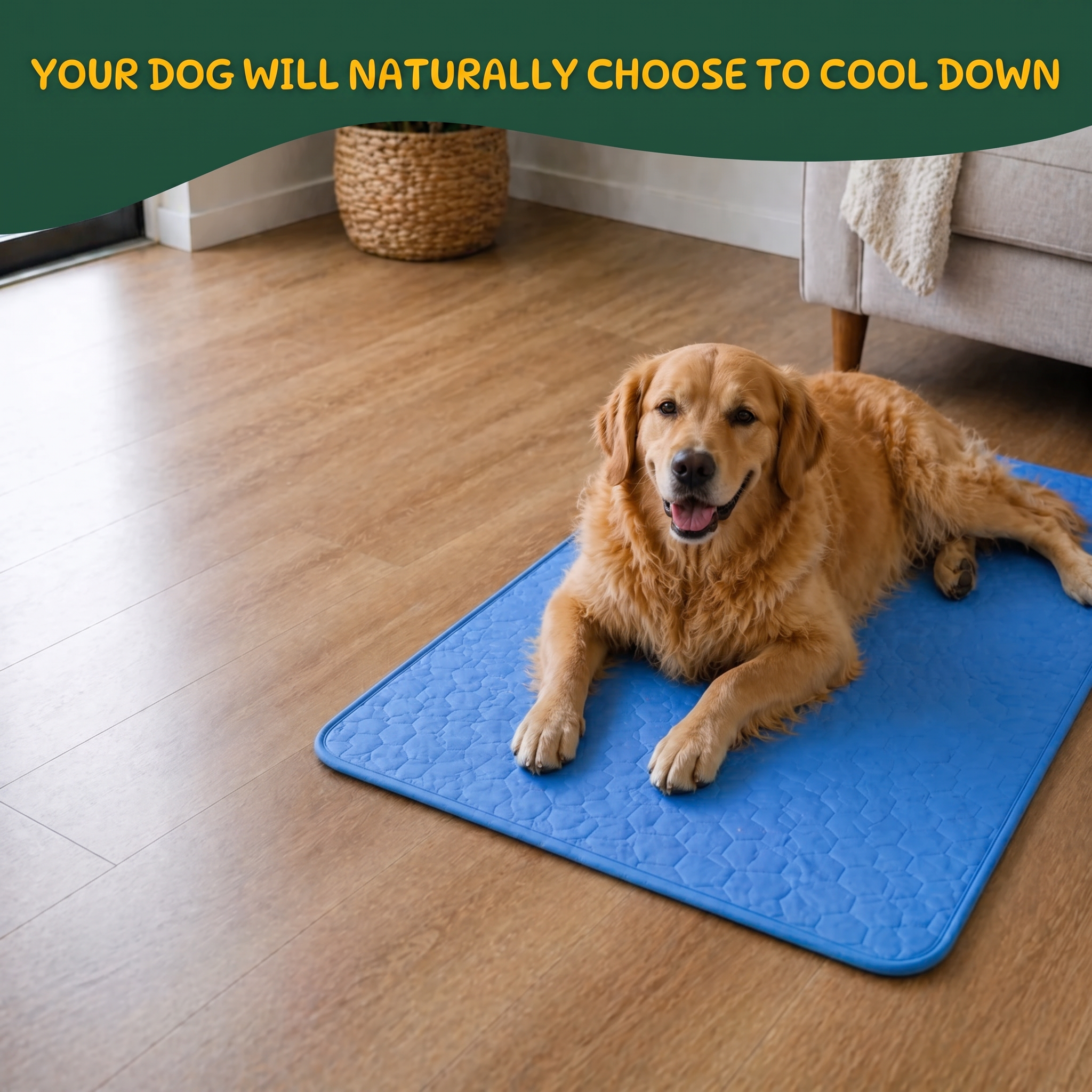 Cooling Mat for Dogs