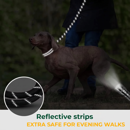 Reflective Dog Lead with Soft Grip Handle