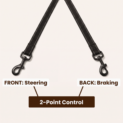 Adjustable No-Pull Dog Lead