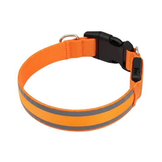 LED Safety Collar for Dogs