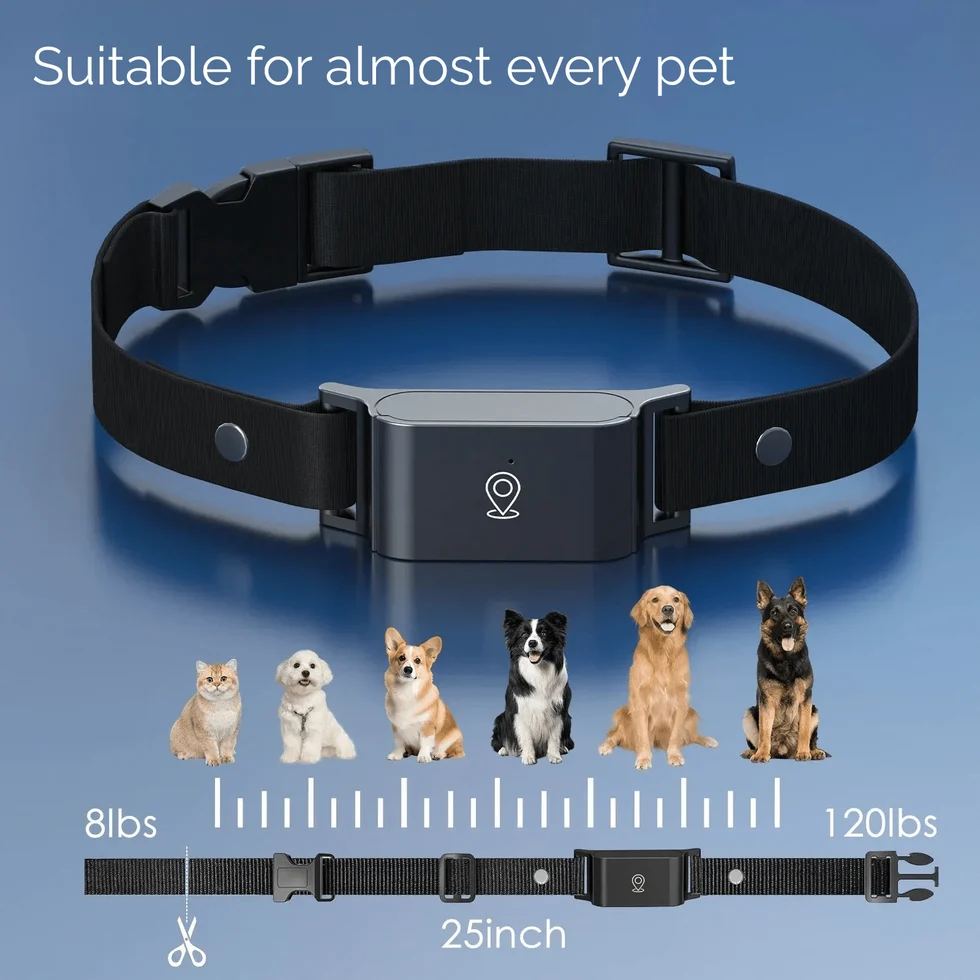 4G GPS Pet Tracker for Dogs & Cats
