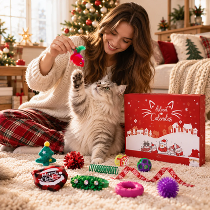 Christmas Advent Calendar for Pets