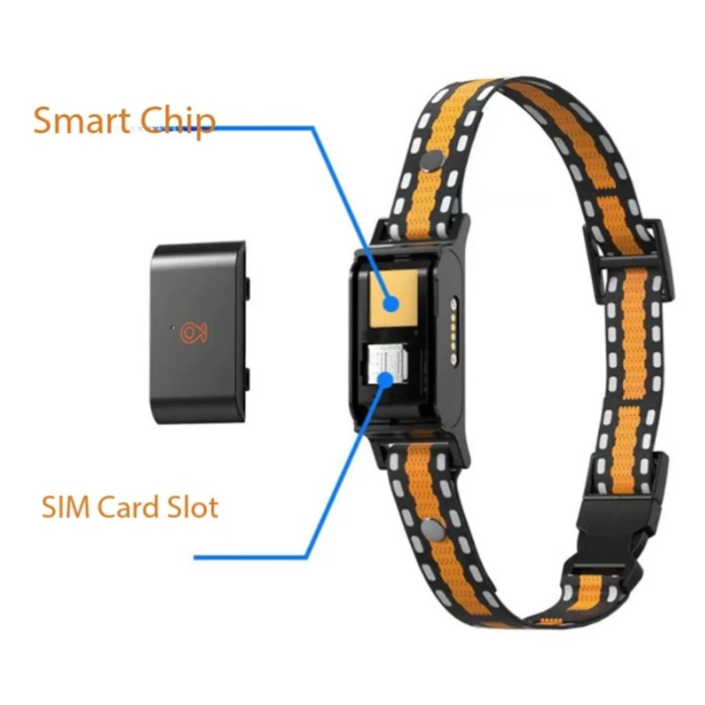 4G GPS Pet Tracker for Dogs & Cats