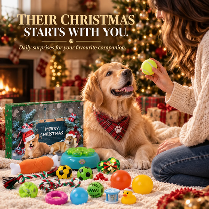 Christmas Advent Calendar for Pets