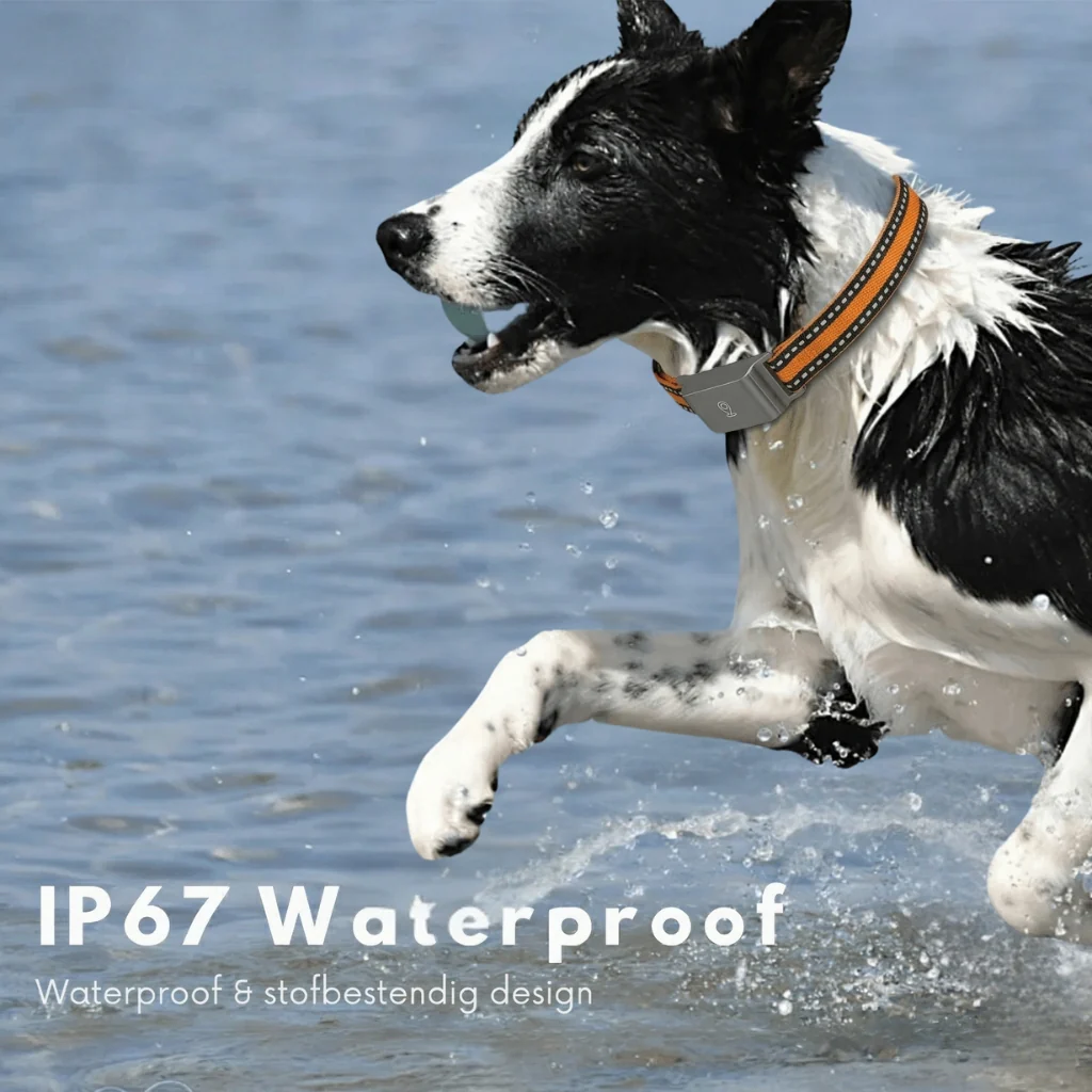 4G GPS Pet Tracker for Dogs & Cats
