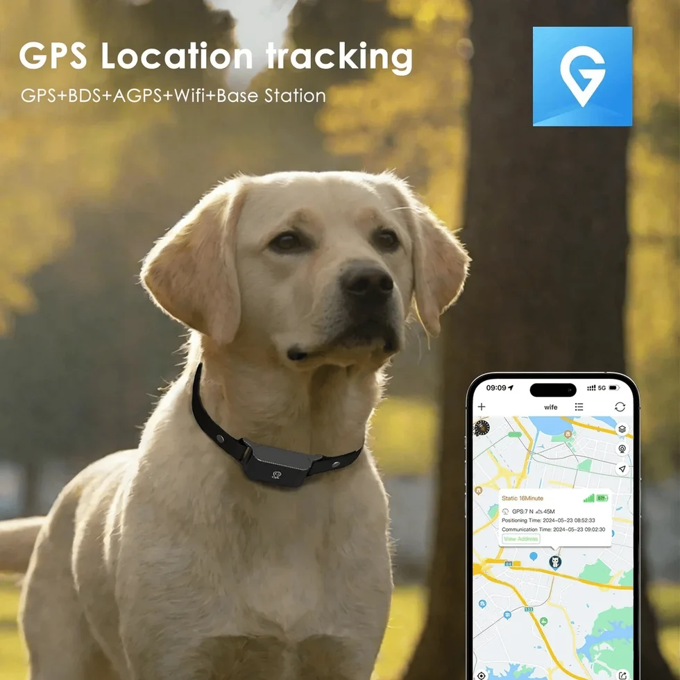 4G GPS Pet Tracker for Dogs & Cats